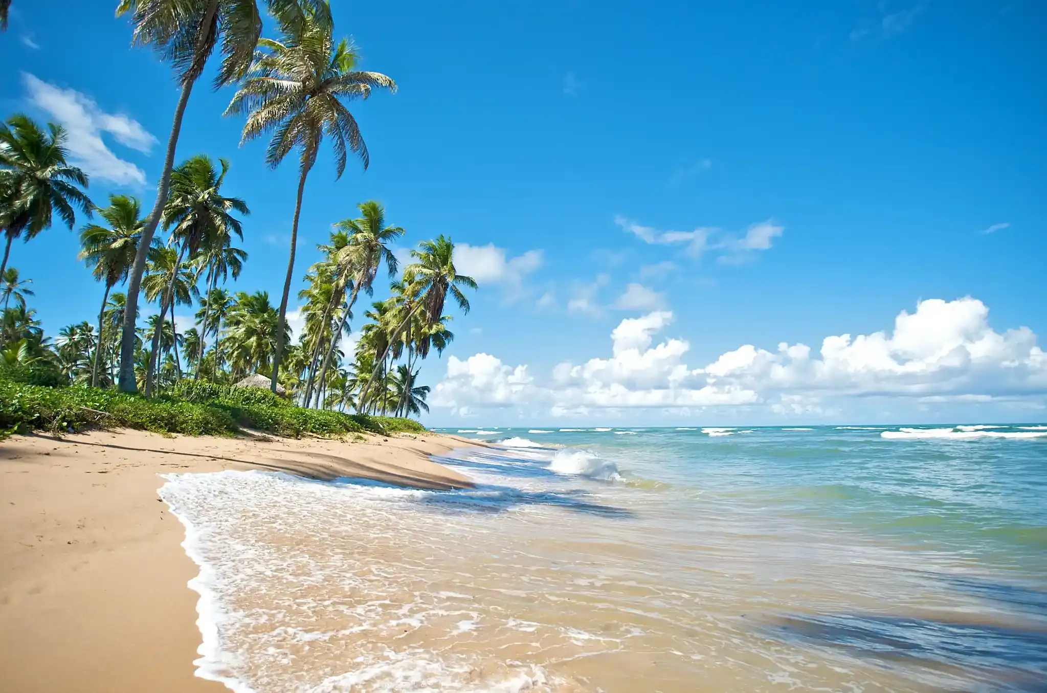 Viajando com criancas para Salvador?